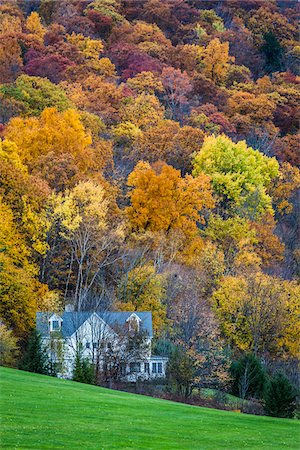 ferme (bâtiment) - Country House in Forest by Green Field, Lenox, Berkshire County, Massachusetts, USA Photographie de stock - Rights-Managed, Code: 700-06465827