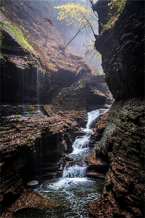 Waterfall with Bridge in Gorge, Watkins Glen State Park, Schuyler County, New York State, USA Photographie de stock - Rights-Managed, Code: 700-06465849