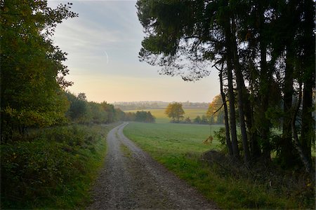 road sunrise - Gravel Road Through Foggy Field in Evening, Bavaria, Germany Stock Photo - Rights-Managed, Code: 700-06486522