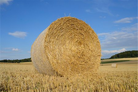 dry crop field - Low Angle View of Hay Bale in Farm Field, Upper Palatinate, Bavaria, Germany Stock Photo - Rights-Managed, Code: 700-06486545