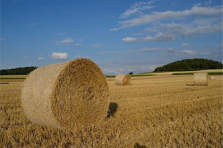 dried crop field - Hay Bales in Farm Field, Upper Palatinate, Bavaria, Germany Foto de stock - Con derechos protegidos, Código: 700-06486548