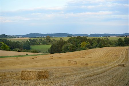 simsearch:700-05524250,k - Hay Bales in Farm Field, Upper Palatinate, Bavaria, Germany Stockbilder - Lizenzpflichtiges, Bildnummer: 700-06486564