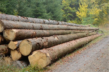 deforestation nobody - Pile of Logs Stacked by Side of Road in Forest in Autumn, Upper Palatinate, Bavaria, Germany Stock Photo - Rights-Managed, Code: 700-06505718