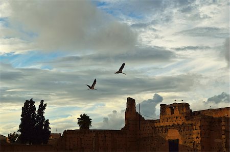 Two White Storks Flying over El Badi Palace, Medina, Marrakesh, Morocco, Africa Stockbilder - Lizenzpflichtiges, Bildnummer: 700-06505747