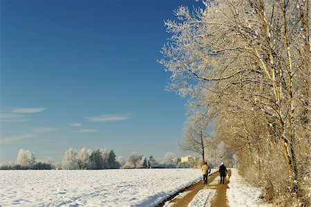 simsearch:700-06505762,k - Two People Walking on Road Through Snow Covered Farm Field in Winter, near Villingen-Schwenningen, Baden-Wuerttemberg, Germany Foto de stock - Con derechos protegidos, Código: 700-06505762