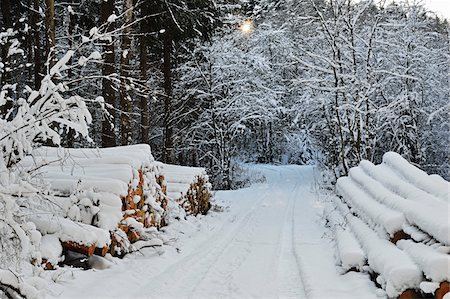 pile (disorderly pile) - Stacks of Logs by Side of Road in Black Forest in Winter, near Villingen-Schwenningen, Schwarzwald-Baar, Baden-Wuerttemberg, Germany Stock Photo - Rights-Managed, Code: 700-06505781