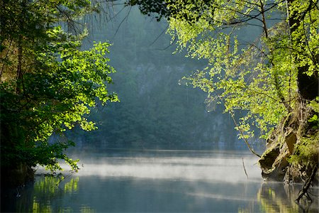 forests and lakes - Morning Mist on Forest Lake, Bavaria, Germany, Europe Stock Photo - Rights-Managed, Code: 700-06512679