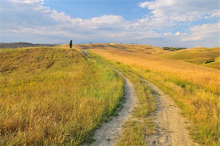 rural road - Path Through Field in the Summer, San Quirico d'Orcia, Province of Siena, Tuscany Italy Stock Photo - Rights-Managed, Code: 700-06512906