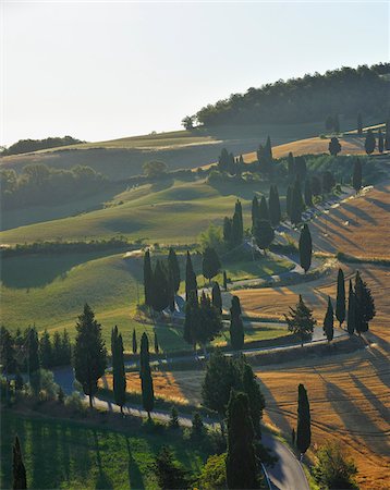 simsearch:700-09237425,k - Winding Country Road with Cypress Trees in Summer, Montepulciano, Province of Siena, Tuscany, Italy Stock Photo - Rights-Managed, Code: 700-06512935
