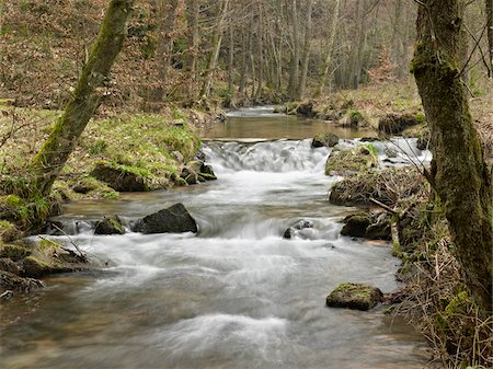 Running Stream and Waterfalls Through Forest in Spring, France Stock Photo - Rights-Managed, Code: 700-06531940