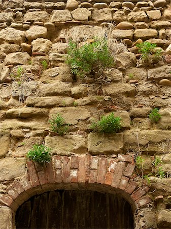 simsearch:700-00328888,k - green plants growing out of stone bricks in wall above old arched doorway in the small medieval village of Saint-Antoine-l'Abbaye, France Photographie de stock - Rights-Managed, Code: 700-06543492