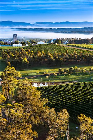 Aerial view of wine country near Pokolbin, Hunter Valley, New South Wales, Australia Photographie de stock - Rights-Managed, Code: 700-06675096