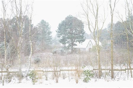 House and Trees in Blizzard in Wintertime Foto de stock - Direito Controlado, Número: 700-06679367
