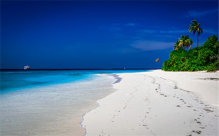 Palm Trees and Tropical Beach with Cruise Ship in Distance, Maldives, Indian Ocean Photographie de stock - Rights-Managed, Code: 700-06685222