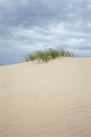 Dune Grass and Overcast Sky, Dune du Pilat, Arcachon, France Photographie de stock - Rights-Managed, Code: 700-06714101