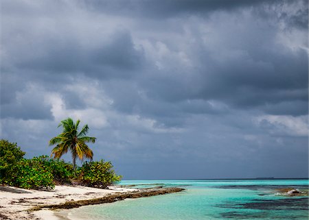 Tropical island and Palm Tree, Huvadhu Atoll, Maldives, Indian Ocean, Asia Foto de stock - Con derechos protegidos, Código: 700-06714169