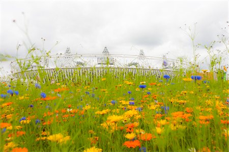 flowers in bloom around the 2012 summer olympic stadium, stratford, london, UK Foto de stock - Con derechos protegidos, Código: 700-06773203