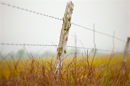 Lonely Fence Post, Central Texas, USA Fotografie stock - Rights-Managed, Codice: 700-06786908