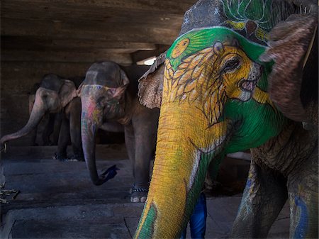 peinture (matériel) - Decorated elephants in stable, Amber, India Photographie de stock - Rights-Managed, Code: 700-06782138