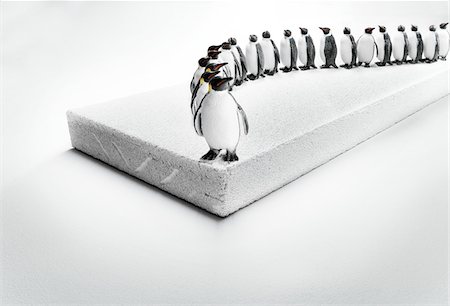 estatueta - Row of penguin figurines on cinder block ice floe Foto de stock - Direito Controlado, Número: 700-06808755