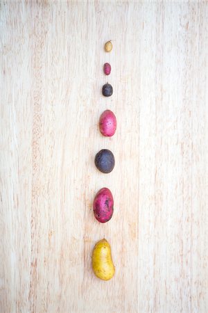 single file - line of different sized and colored fresh local organic artisanal potatoes, jeffersonville, georgia Foto de stock - Con derechos protegidos, Código: 700-06809013