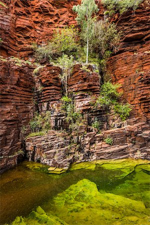 Joffre Gorge, Karijini National Park, The Pilbara, Western Australia, Australia Stock Photo - Rights-Managed, Code: 700-06809034