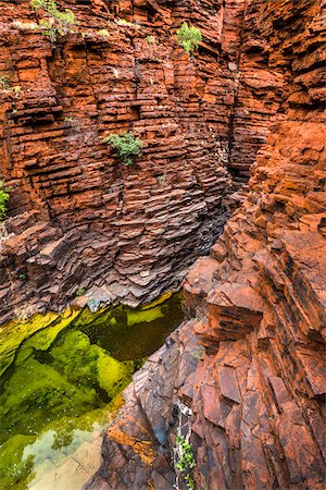 Joffre Gorge, Karijini National Park, The Pilbara, Western Australia, Australia Stock Photo - Rights-Managed, Code: 700-06809033