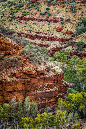 simsearch:700-06841553,k - Dales Gorge, Karijini National Park, The Pilbara, Western Australia, Australia Foto de stock - Con derechos protegidos, Código: 700-06809047