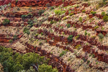 Dales Gorge, Karijini National Park, The Pilbara, Western Australia, Australia Foto de stock - Con derechos protegidos, Código: 700-06809054