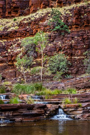 pilbara - Dales Gorge, Karijini National Park, The Pilbara, Western Australia, Australia Stock Photo - Rights-Managed, Code: 700-06809050