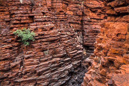 Joffre Gorge, Karijini National Park, The Pilbara, Western Australia, Australia Stock Photo - Rights-Managed, Code: 700-06841529