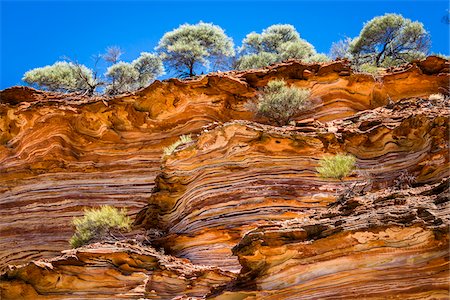 picture rock kalbarri - Low Angle View of Cliff and Trees, The Loop, Kalbarri National Park, Western Australia, Australia Stock Photo - Rights-Managed, Code: 700-06841549