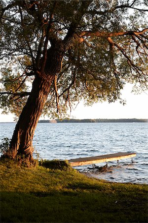 Dock at Lakeside, Lake Couchiching, Ontario, Canada Stockbilder - Lizenzpflichtiges, Bildnummer: 700-06841599