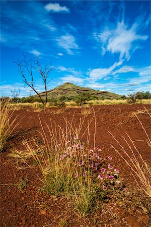 red soil - Mount Bruce, The Pilbara, Western Australia, Australia Stock Photo - Rights-Managed, Code: 700-06841629