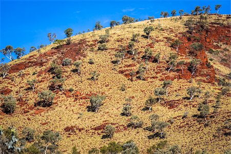 Karijini National Park, The Pilbara, Western Australia, Australia Stock Photo - Rights-Managed, Code: 700-06841632