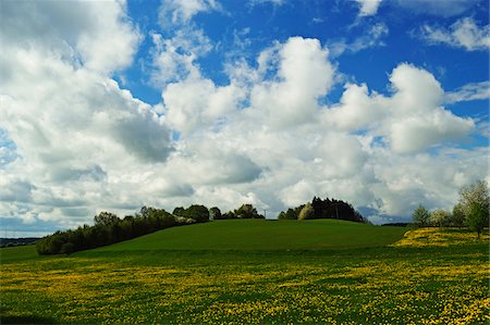 simsearch:700-06894760,k - Rural scene in spring, Vogtland, Saxony, Germany, Europe Foto de stock - Con derechos protegidos, Código: 700-06894757