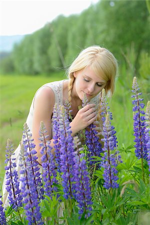 riechen - Blond woman smelling purple lupine blossoms, Germany Stockbilder - Lizenzpflichtiges, Bildnummer: 700-06899973