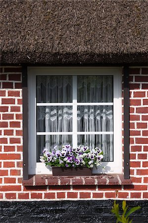 Window of traditional house with thatched roof in Zingst, Fischland-Darss-Zingst, Coast of the Baltic Sea, Mecklenburg-Western Pomerania, Germany, Europe Foto de stock - Con derechos protegidos, Código: 700-06892504