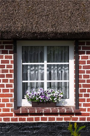 Window of traditional house with thatched roof in Zingst, Fischland-Darss-Zingst, Coast of the Baltic Sea, Mecklenburg-Western Pomerania, Germany, Europe Stockbilder - Lizenzpflichtiges, Bildnummer: 700-06892504