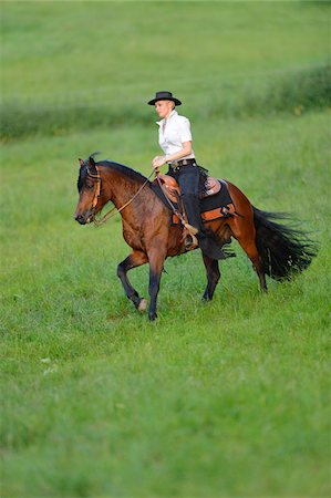 equidae - Young woman riding a Connemara stallion on a meadow, Germany Stock Photo - Rights-Managed, Code: 700-06900029