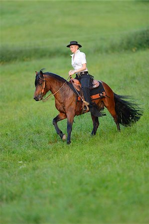 Young woman riding a Connemara stallion on a meadow, Germany Stock Photo - Rights-Managed, Code: 700-06900029