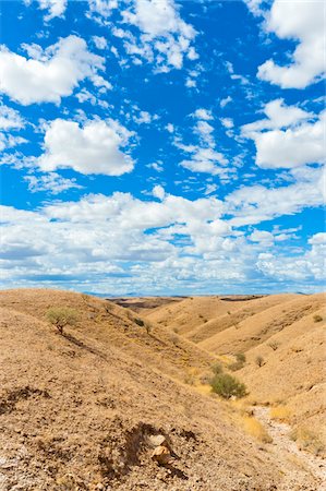 Namib Desert, Namibia, Africa Stock Photo - Rights-Managed, Code: 700-06962212