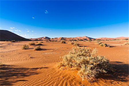 déserté - Sand Dunes, Namib-Naukluft National Park, Namib Desert, Sossusvlei Region, Namibia, Africa Photographie de stock - Rights-Managed, Code: 700-06962228