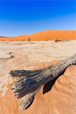 Dead Vlei, Namib-Naukluft National Park, Namib Desert, Sossusvlei Region, Namibia, Africa Stockbilder - Lizenzpflichtiges, Bildnummer: 700-06962234