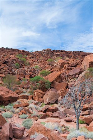 Twyfelfontein, UNESCO World Heritage site, Damaraland, Kunene Region, Namibia, Africa Stock Photo - Rights-Managed, Code: 700-07067070