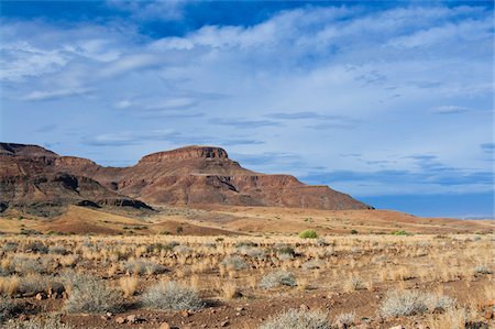plaines - Huab River Valley area, Damaraland, Kunene Region, Namibia, Africa Photographie de stock - Rights-Managed, Code: 700-07067187