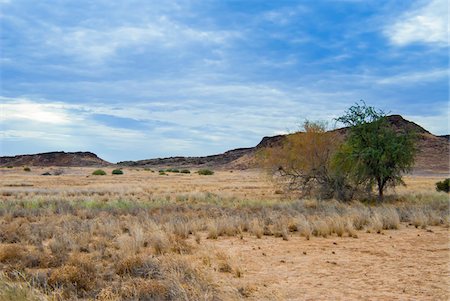 Huab River Valley area, Damaraland, Kunene Region, Namibia, Africa Stock Photo - Rights-Managed, Code: 700-07067197