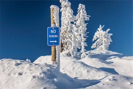No Parking sign, Mount Ashland Ski Resort, Southern Oregon, USA Photographie de stock - Rights-Managed, Code: 700-07067216