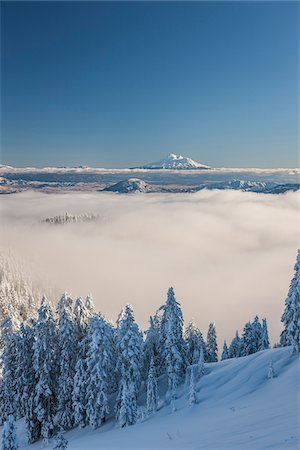 destination white lights - View of Mount Shasta form Mount Ashland, Southern Orgon, USA Foto de stock - Con derechos protegidos, Código: 700-07067219