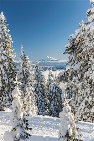 View of Mount Shasta form Mount Ashland, Southern Orgon, USA Stockbilder - Lizenzpflichtiges, Bildnummer: 700-07067220